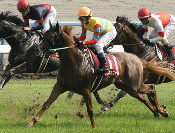 浅次郎競馬 Com 浅次郎競馬 Com